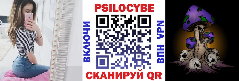 Псилоцибиновые грибы Psilocybe Электрогорск
